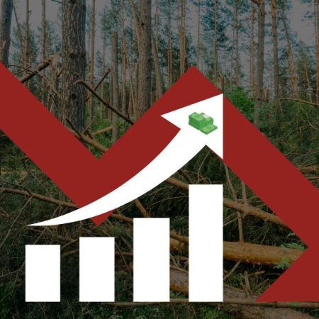 deforestation economics